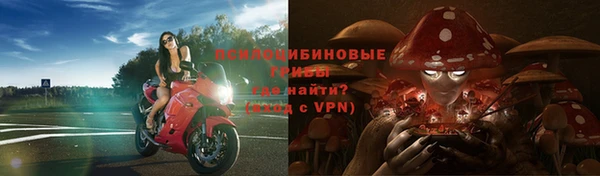 стафф Алексеевка