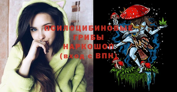 соль ск Алексин