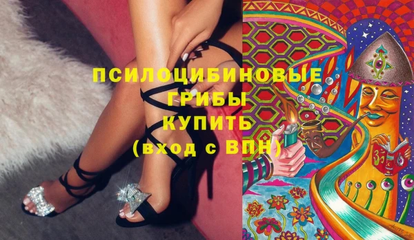 соль ск Алексин