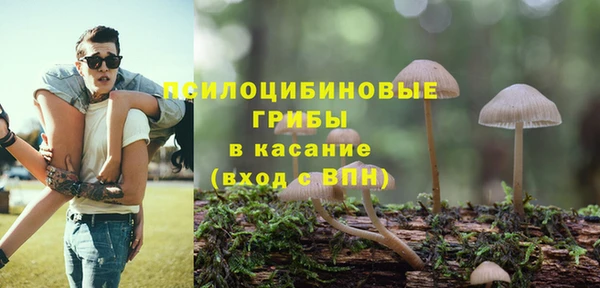 стафф Алексеевка