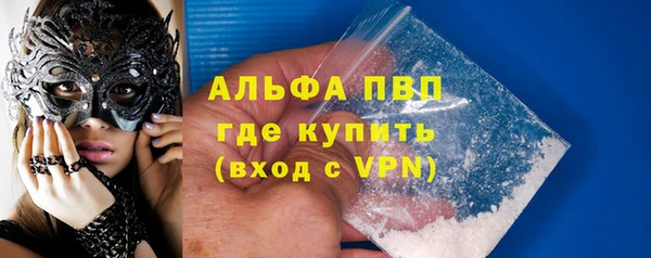 индика Горно-Алтайск