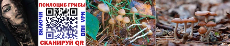 omg маркетплейс  Верхоянск  Галлюциногенные грибы Magic Shrooms 